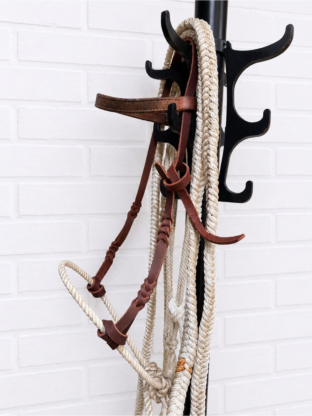 Loping Hackamore - Bosal - Picture 2 of 4